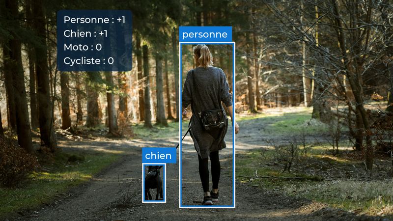 Promeneuse et son chien sur un sentier en forêt, repérés par une détection d'objets : « personne », « chien », compteur Personne +1, Chien +1, Moto 0, Cycliste 0